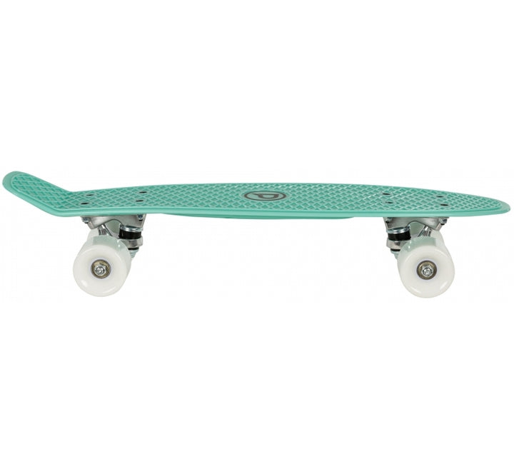 Playlife Vinylboard Mint 22''