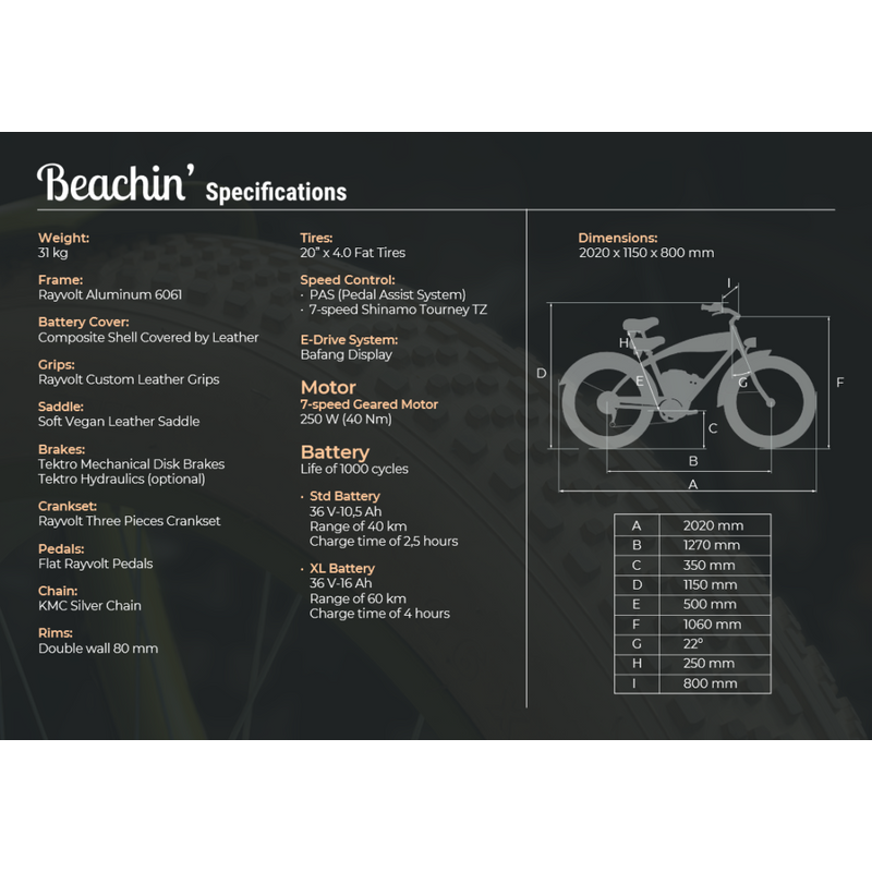 Rayvolt Beachin E-Bike