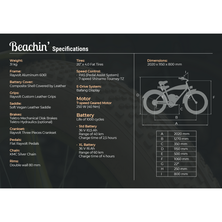 Rayvolt Beachin E-Bike