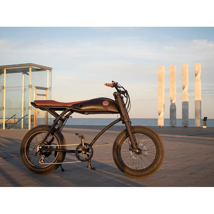 Rayvolt Ringo E-Bike