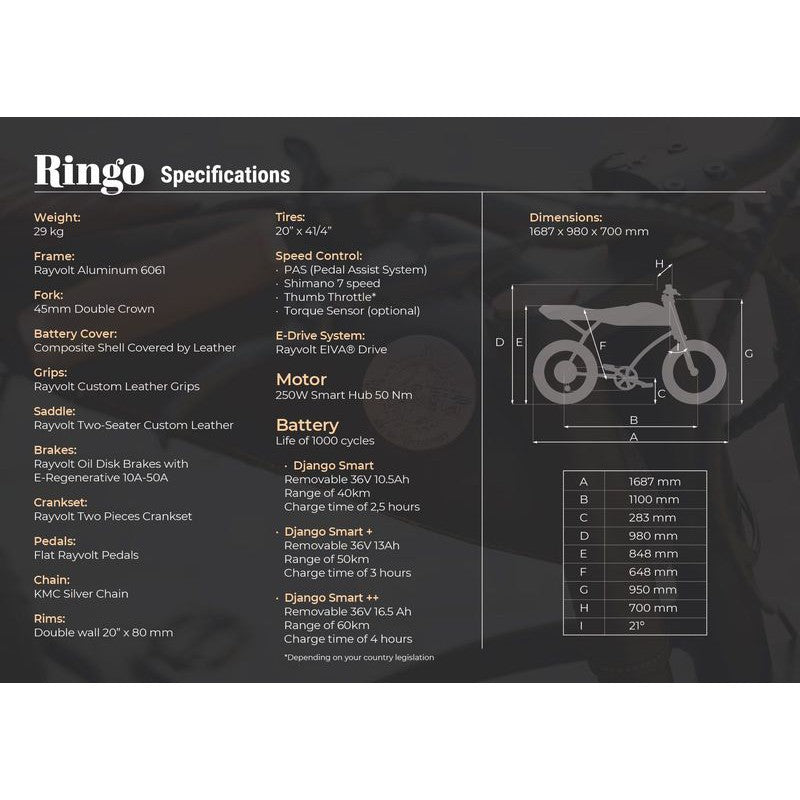 Rayvolt Ringo E-Bike