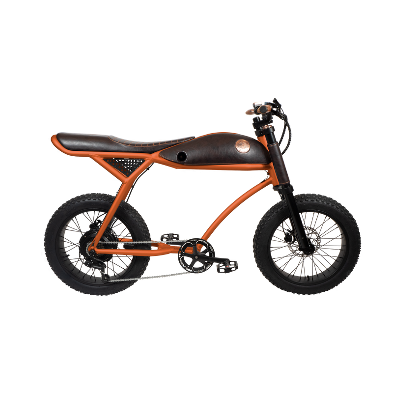 Rayvolt Ringo E-Bike