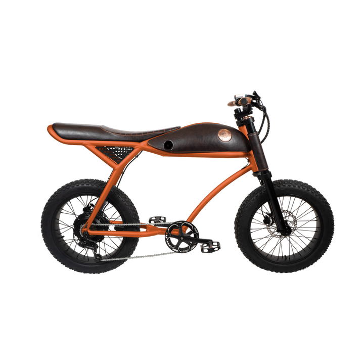 Rayvolt Ringo E-Bike