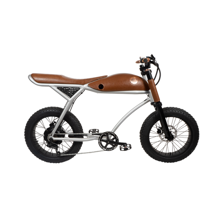 Rayvolt Ringo E-Bike