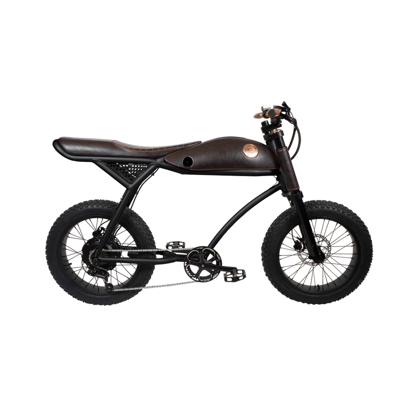 Rayvolt Ringo E-Bike