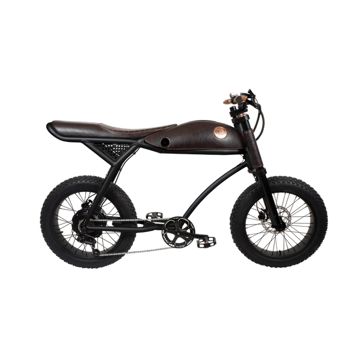 Rayvolt Ringo E-Bike