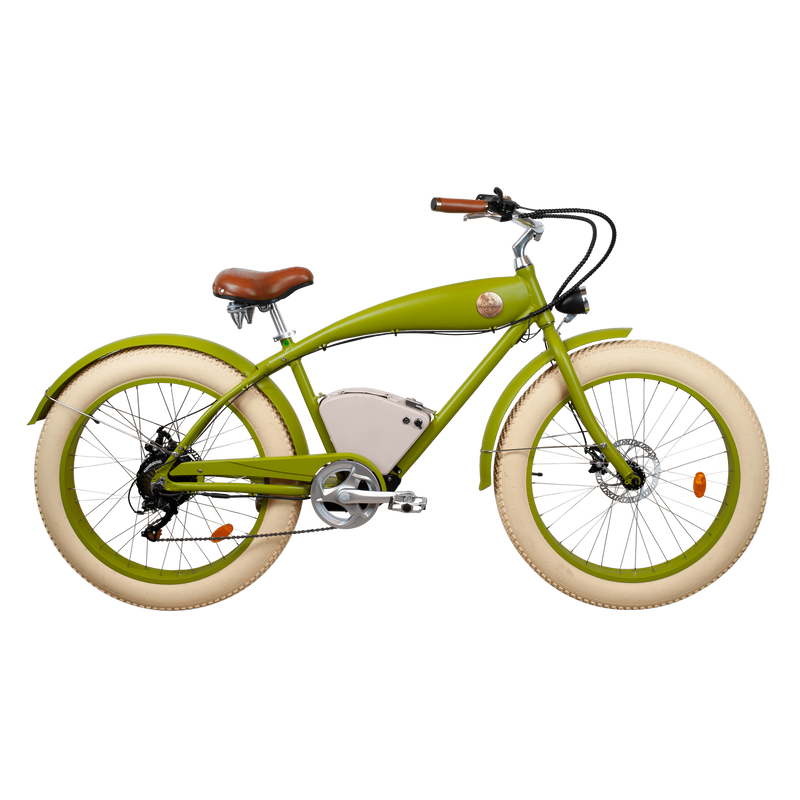 Rayvolt Beachin E-Bike