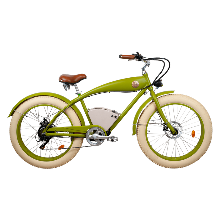 Rayvolt Beachin E-Bike