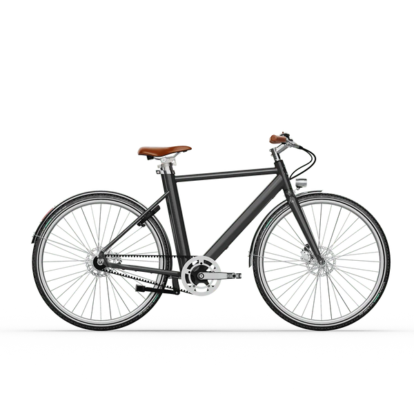 Voltaire E-Bike Legendre