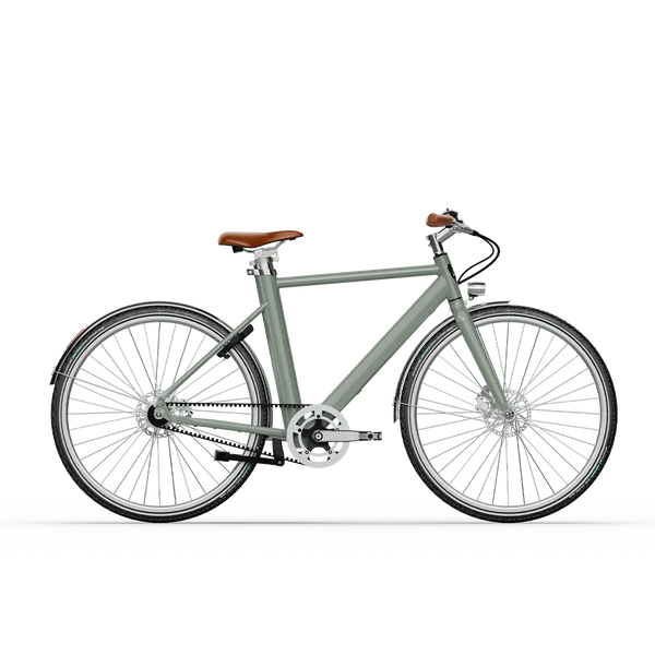 Voltaire E-Bike Legendre