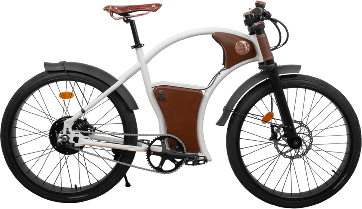 Rayvolt Torino E-Bike